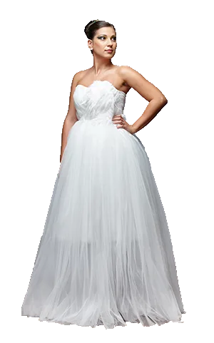 White swan