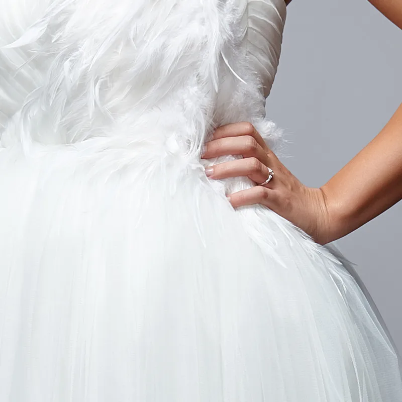 White swan