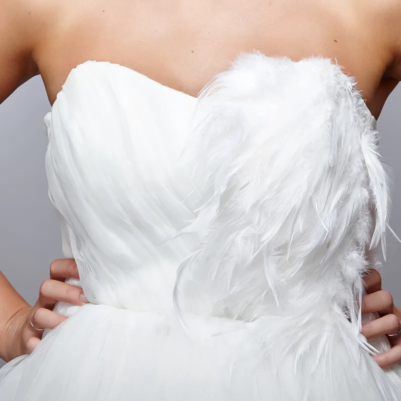 White swan